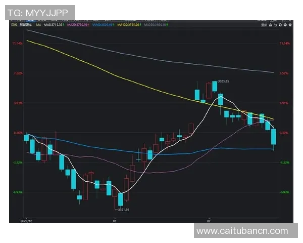 深圳排球队与南京排球队赛后复盘分析比赛节奏与战术对决